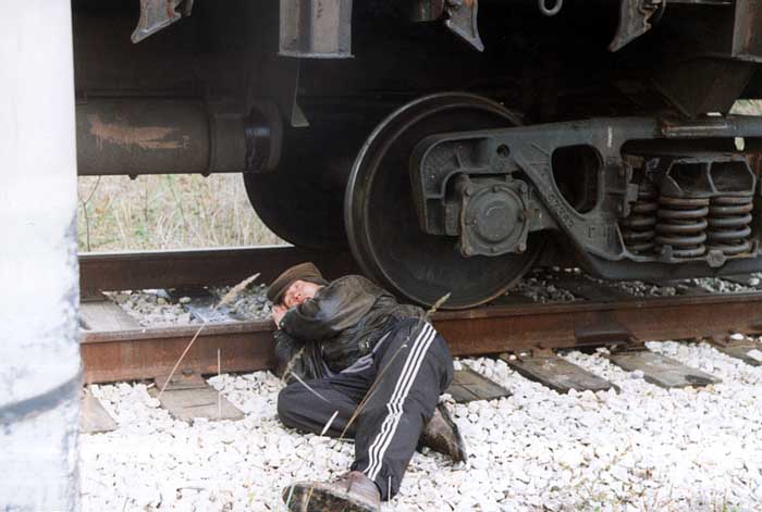 oxota-na-buratino.jpg