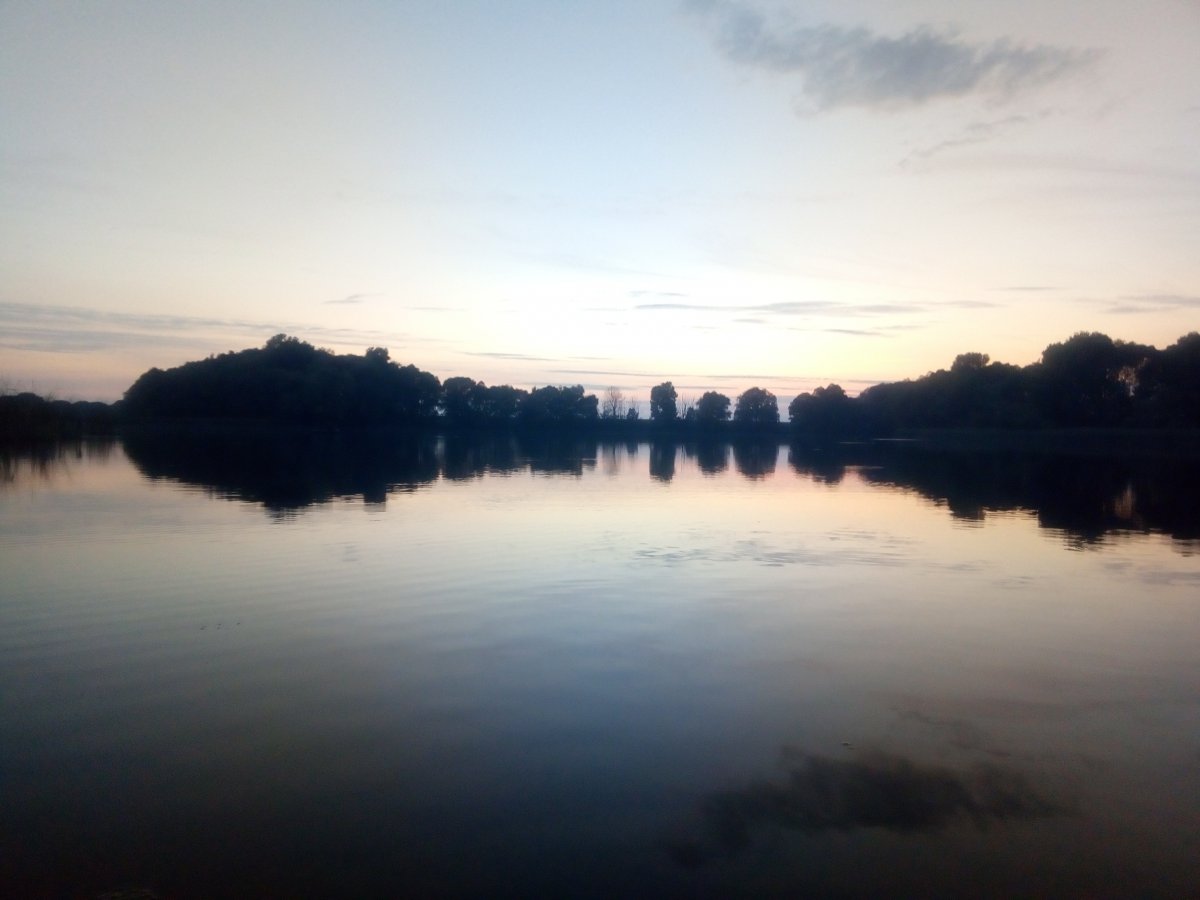 P01003-183757.jpg