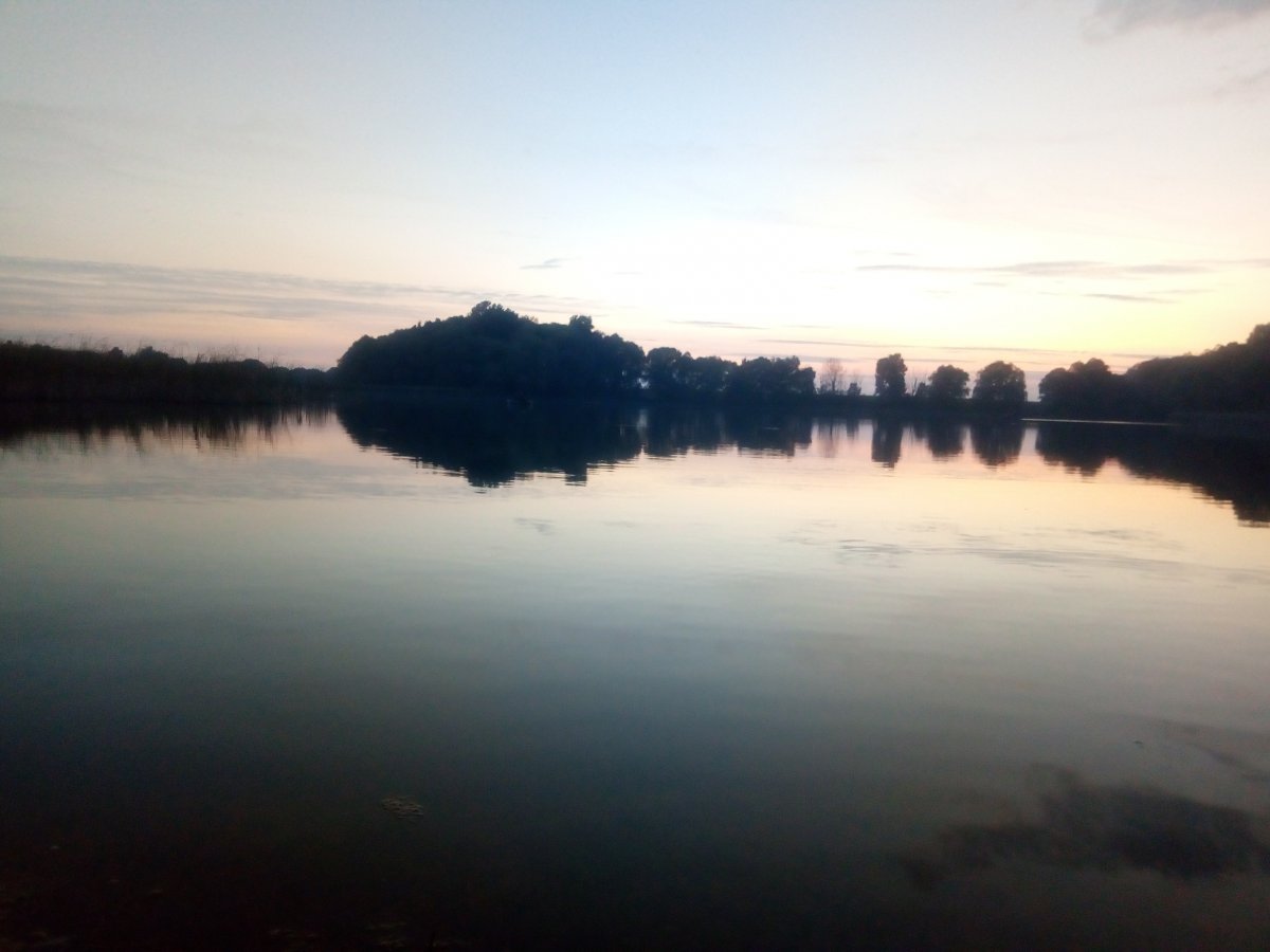P01003-183824.jpg