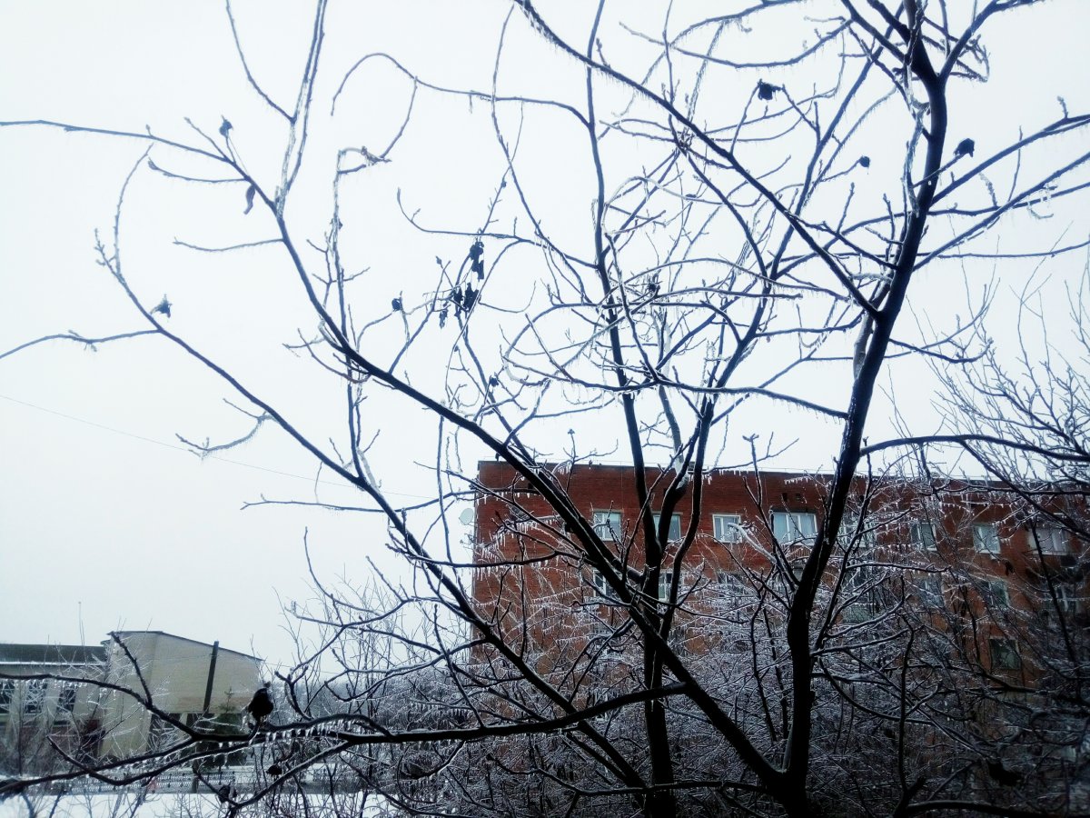 P01214-143847.jpg