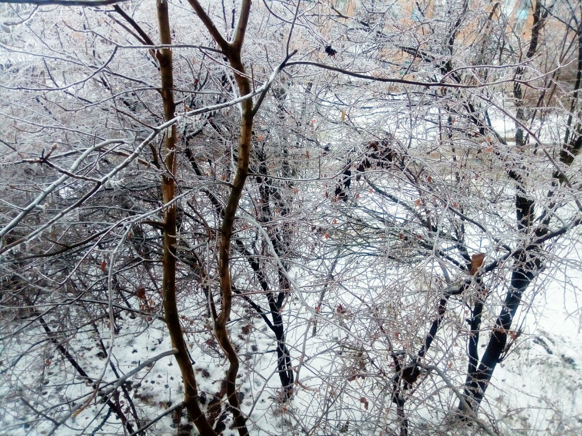P01214-143900.jpg