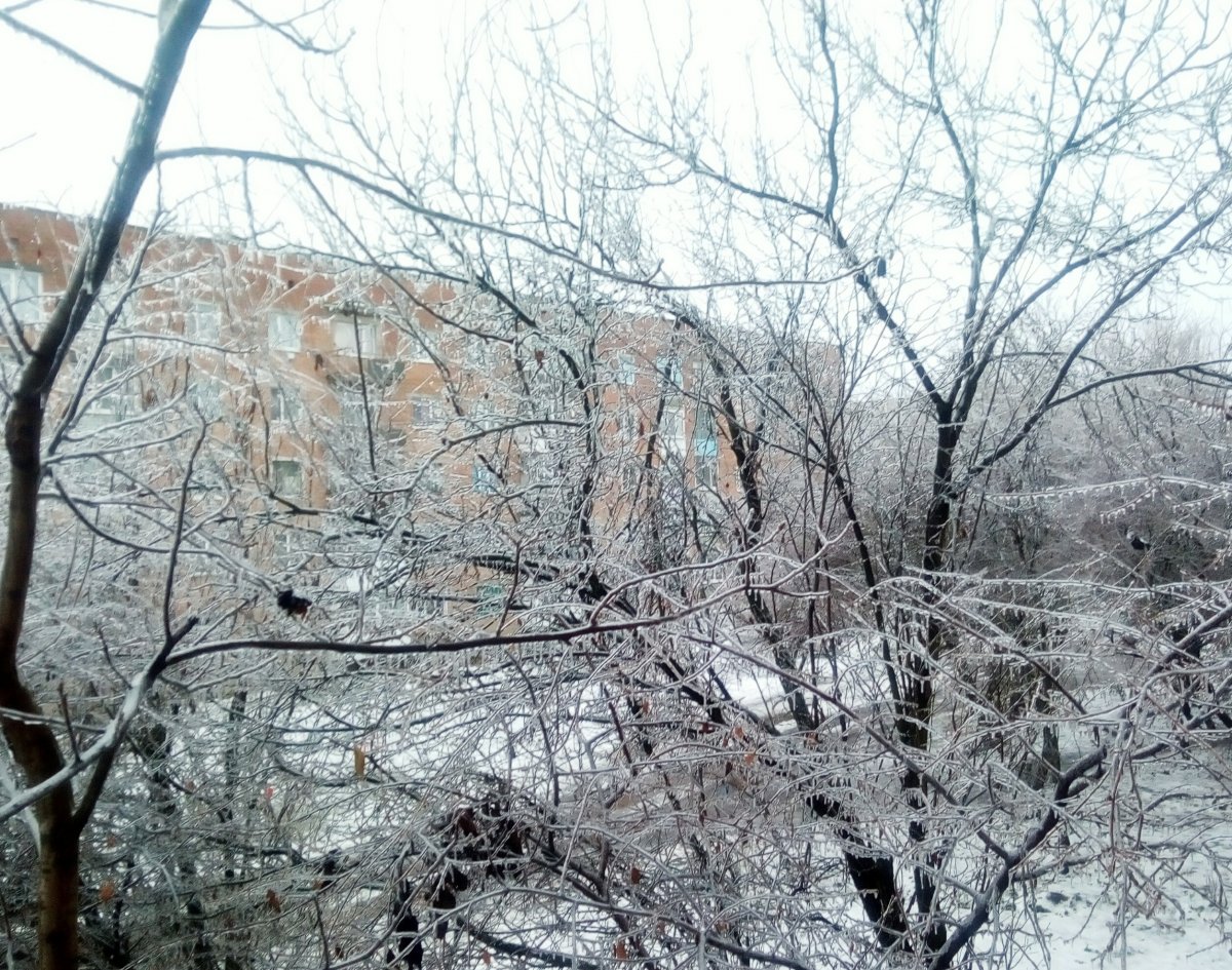 P01214-143912.jpg
