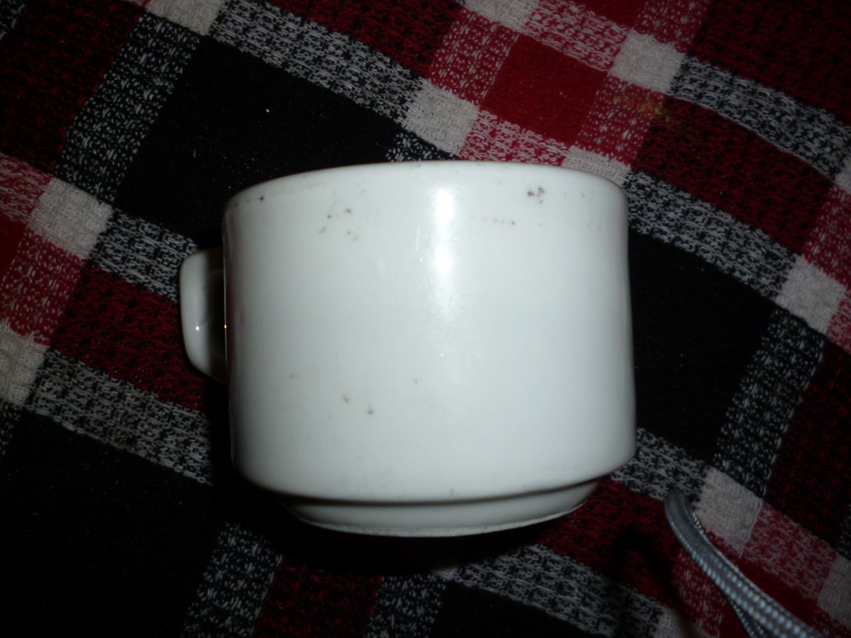 P1000225.JPG
