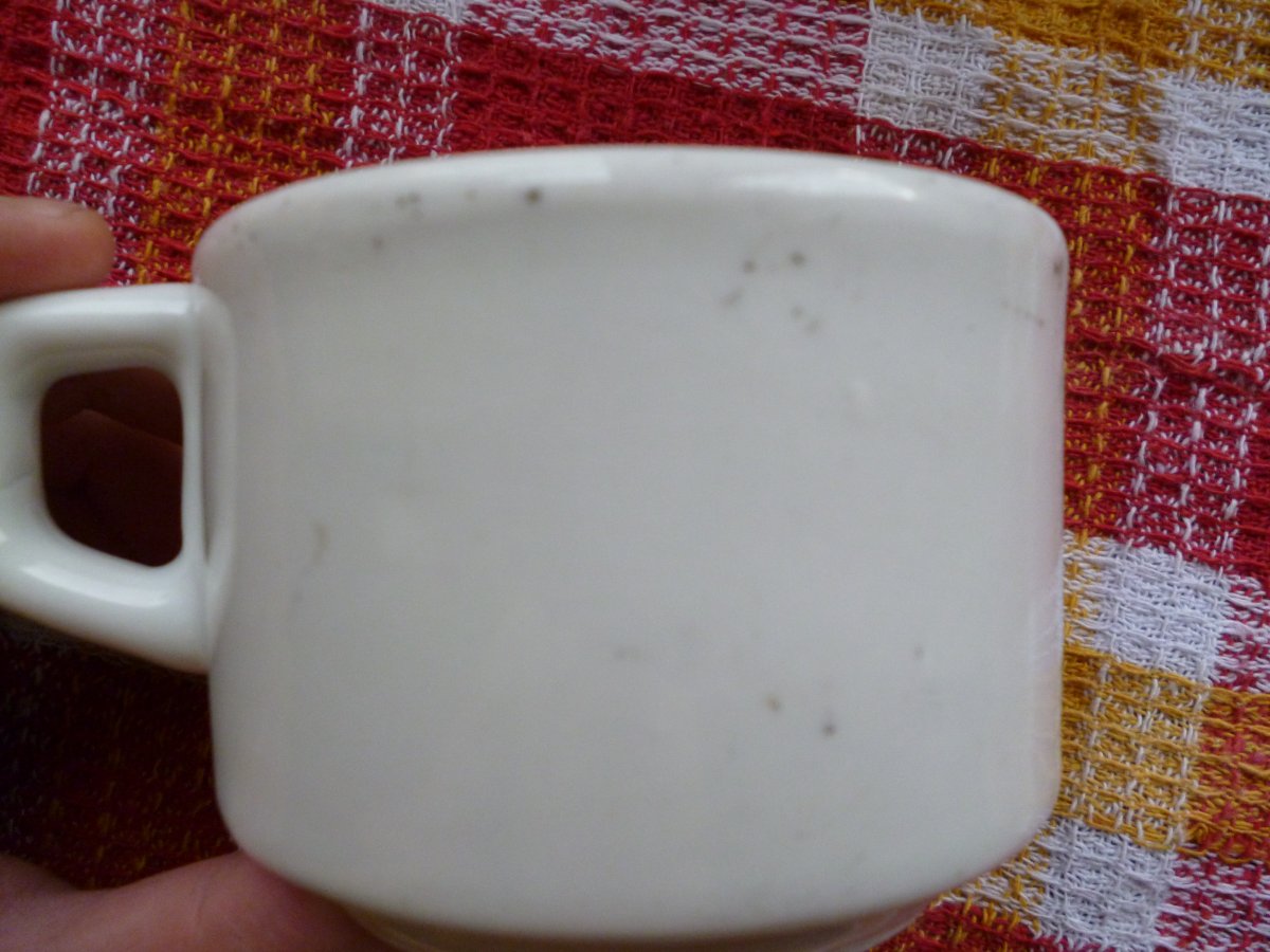 P1000234.JPG