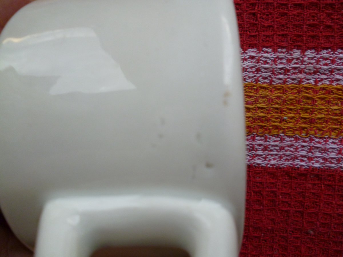 P1000239.JPG