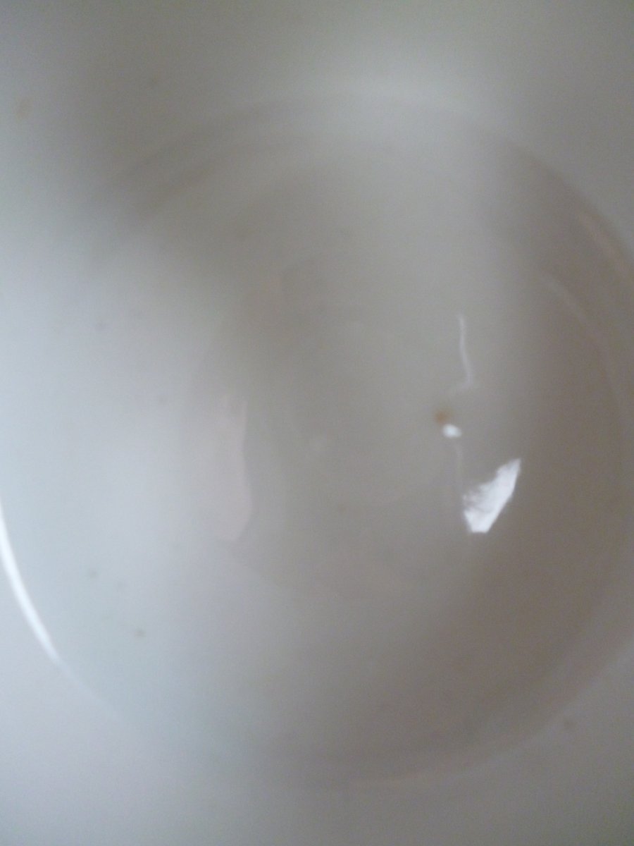 P1000240.JPG