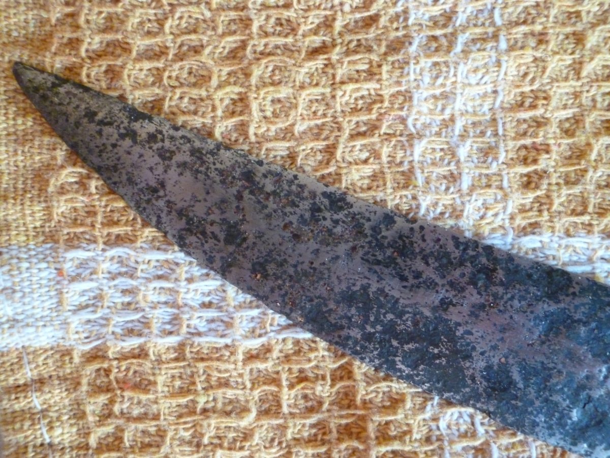 P1000273.JPG