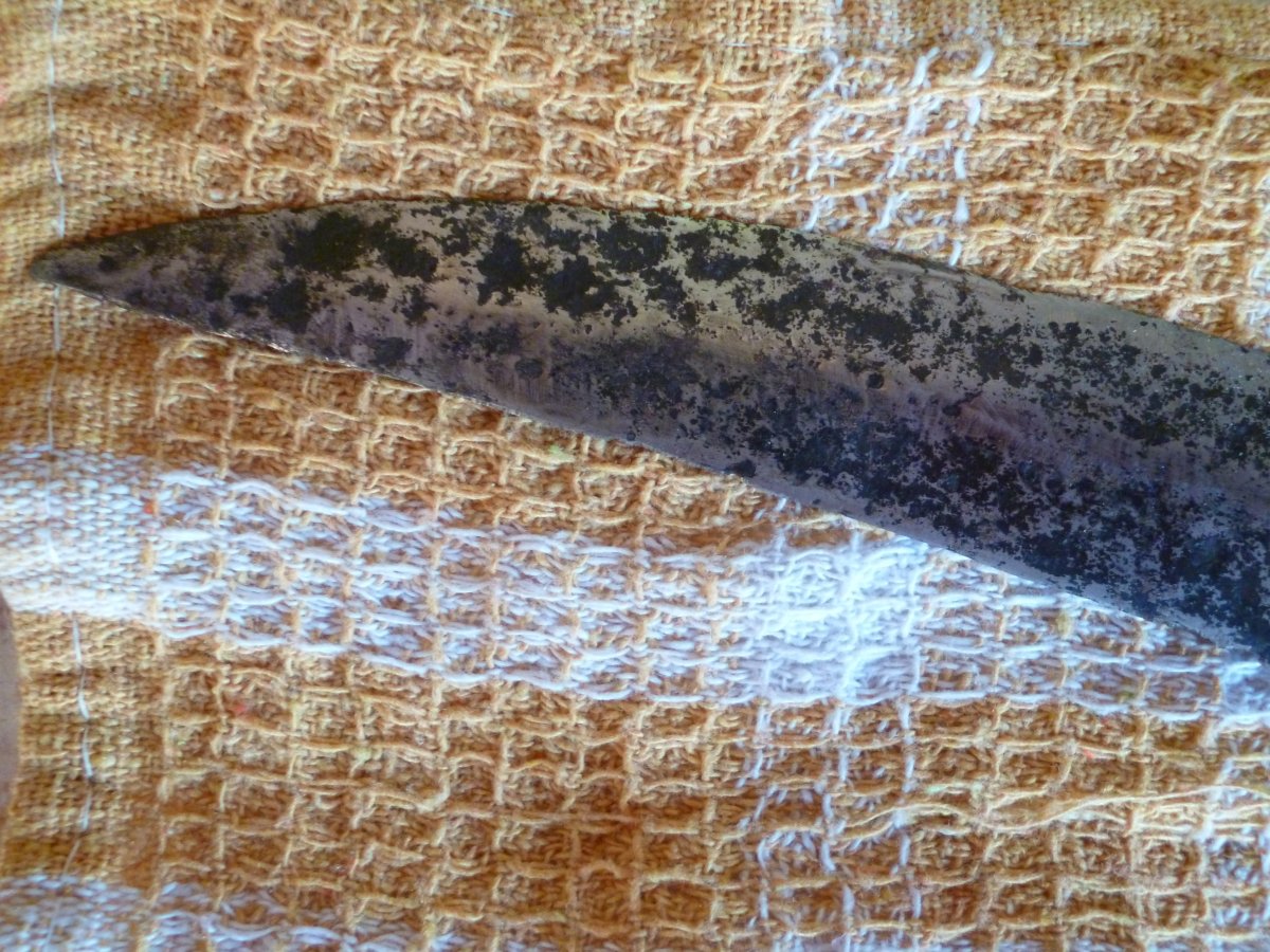 P1000278.JPG
