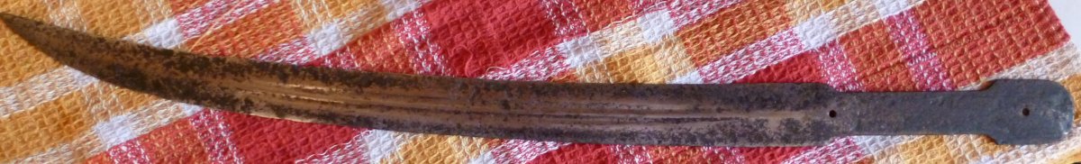 P1000279_cr.jpg