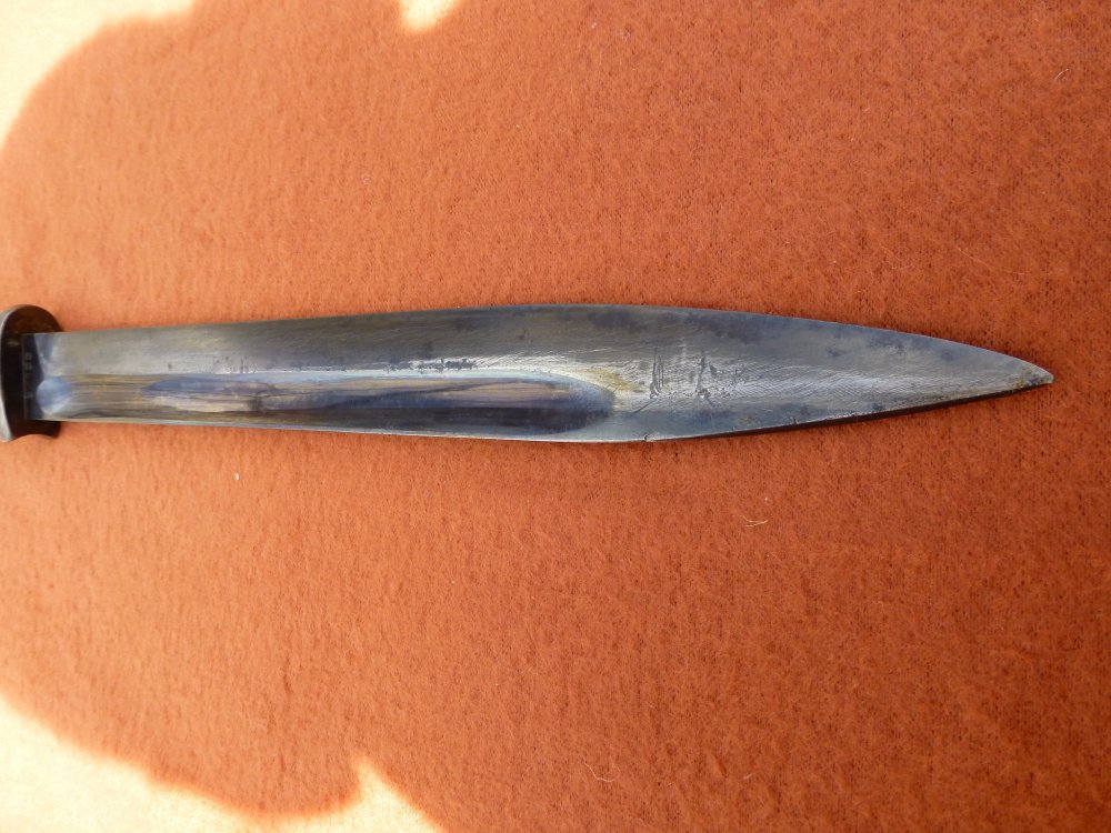 P1000347.JPG