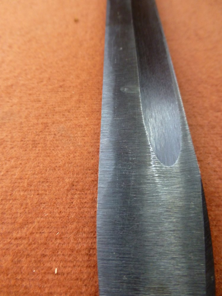 P1000720.JPG