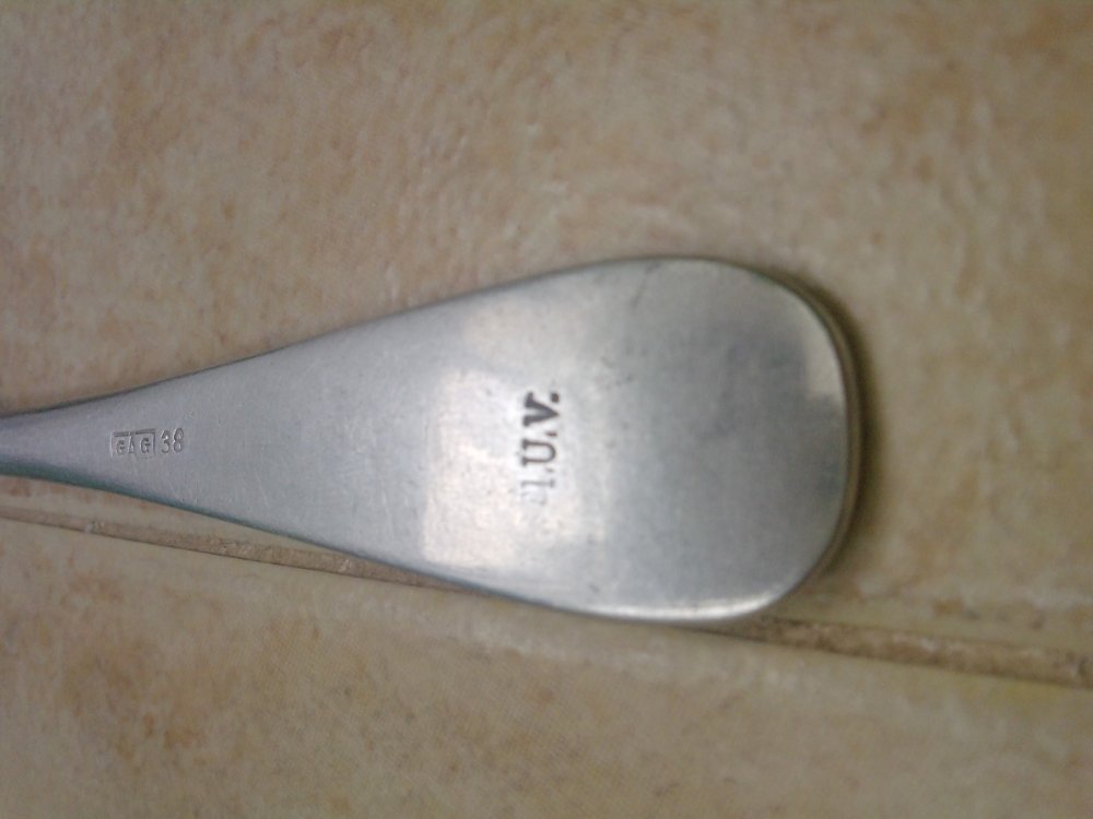 P1005_12-02-14.JPG