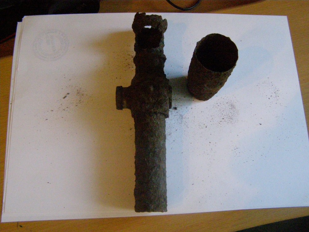 P1010002.JPG