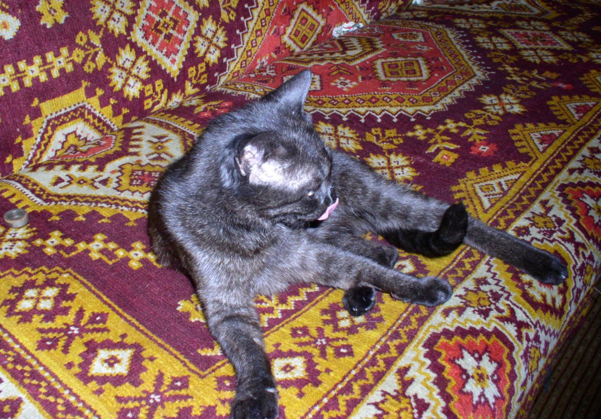 P1010003-1.JPG