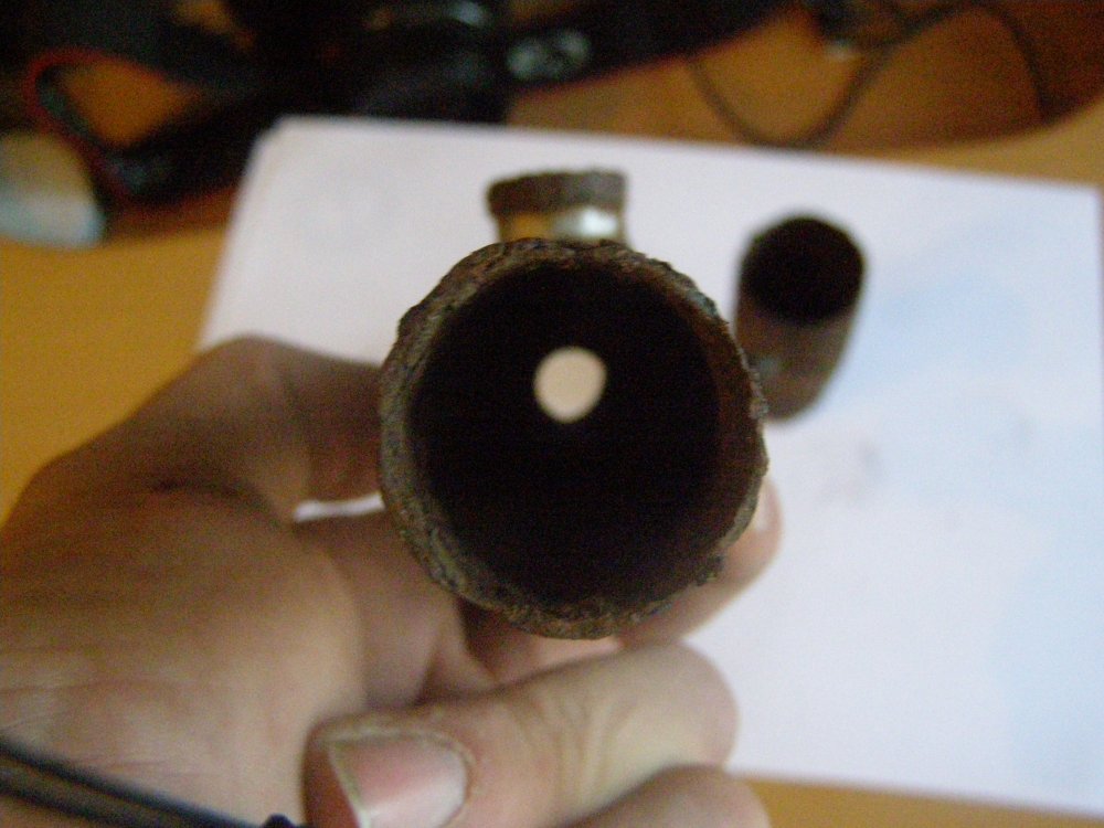 P1010003.JPG