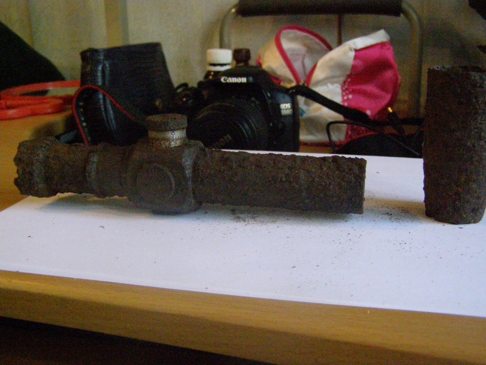 P1010004.JPG