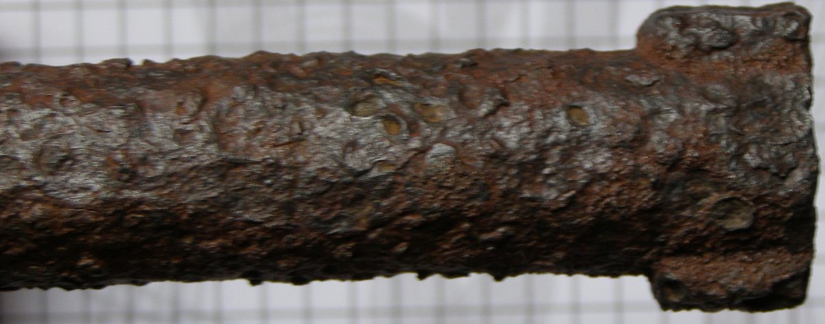 P1010004.JPG
