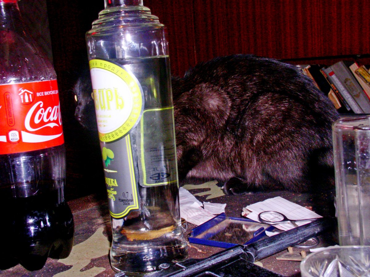 P1010005.JPG