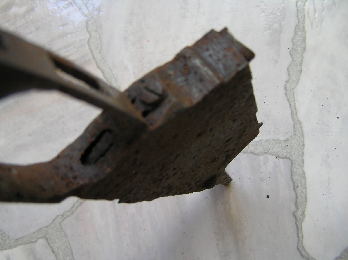 P1010005.JPG