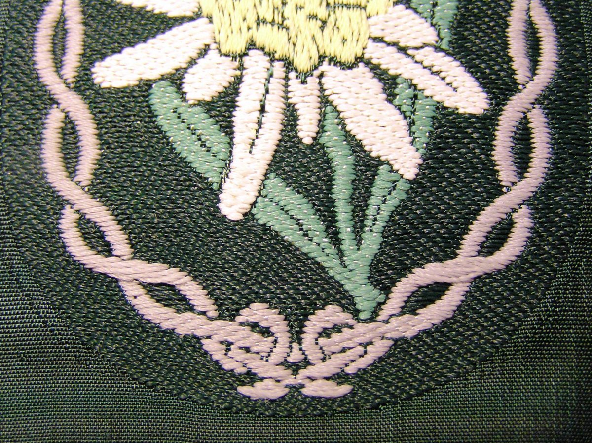 P1010005.JPG