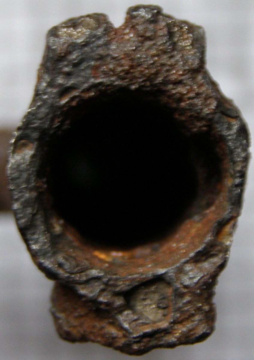 P1010005.JPG