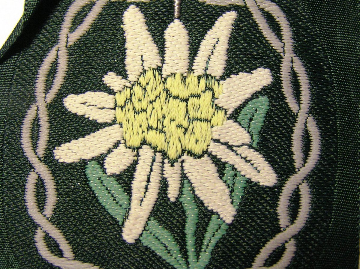 P1010006.JPG