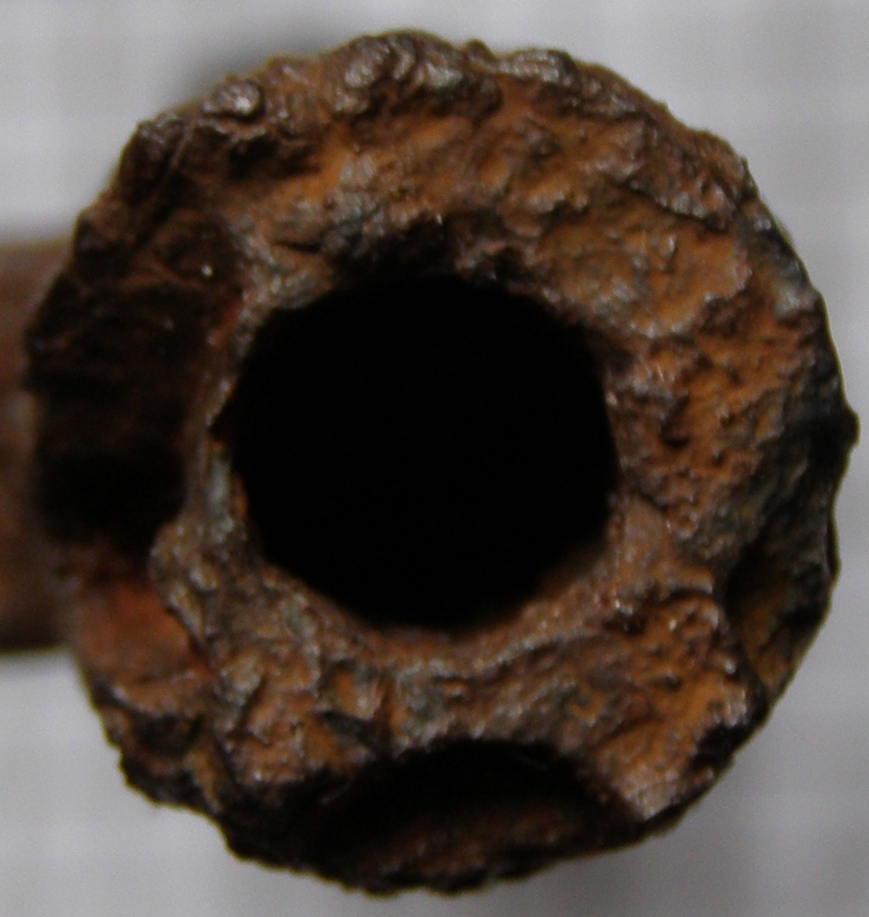 P1010006.JPG