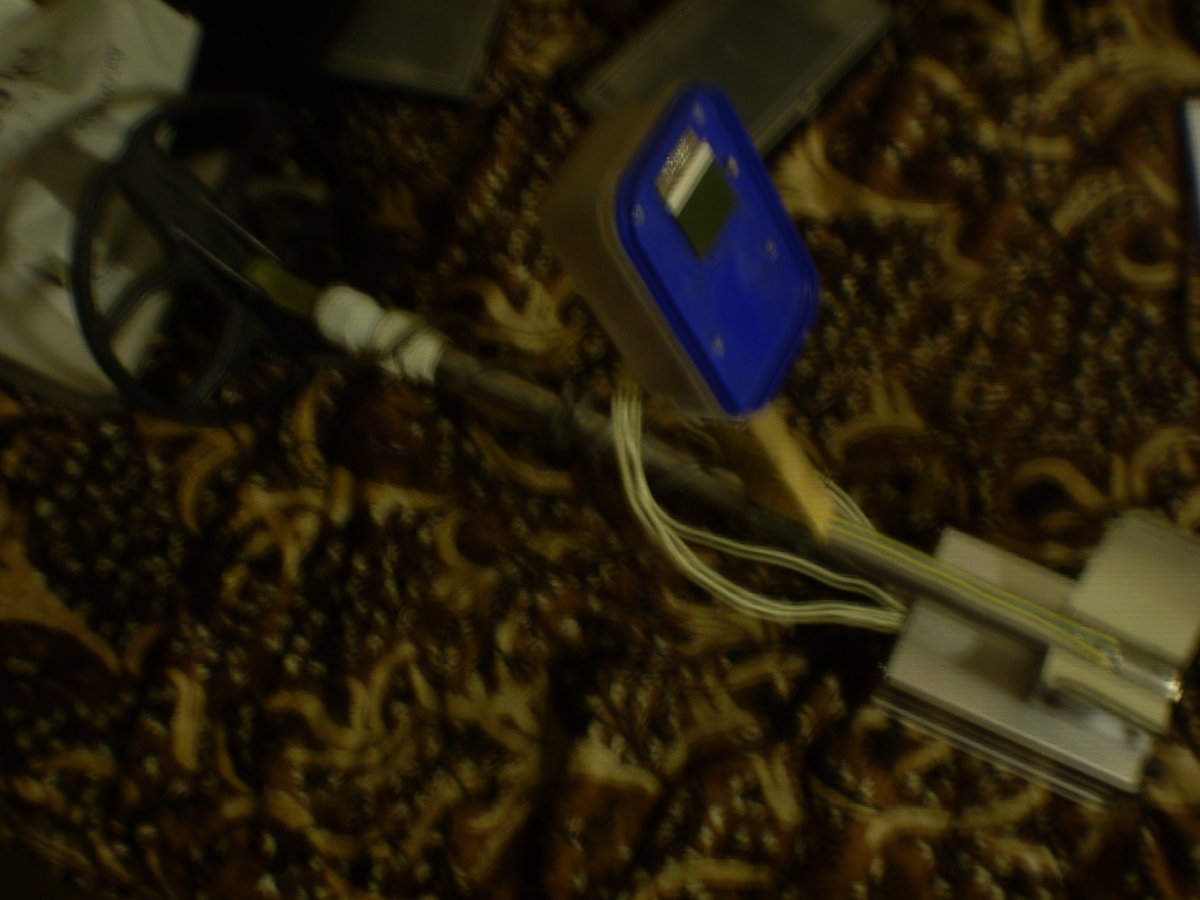 P1010007.JPG