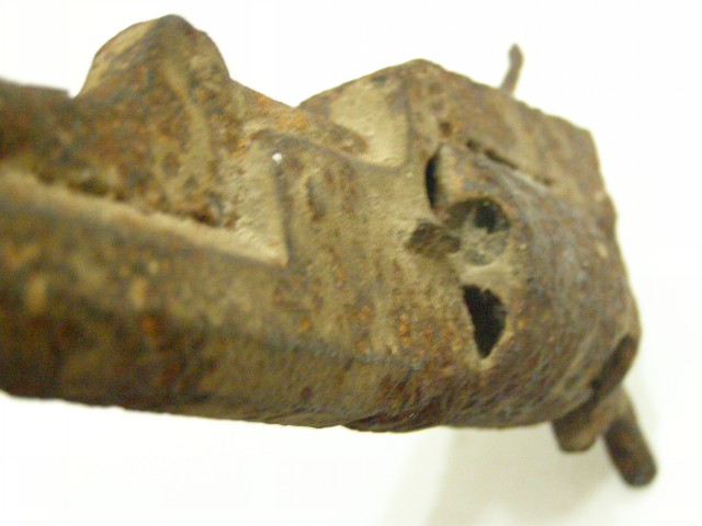 P1010008.jpg