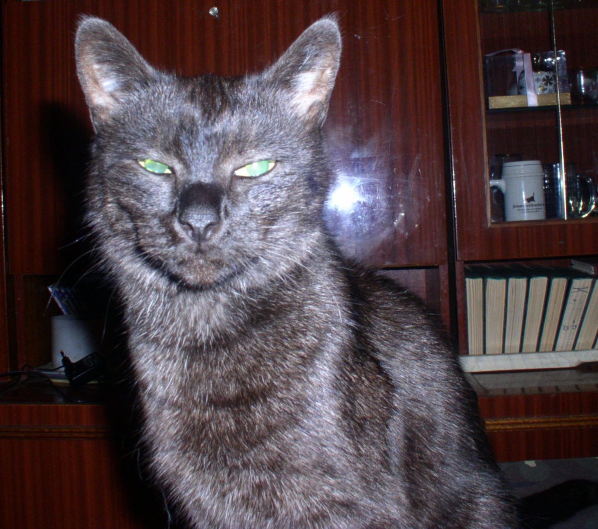 P1010013.JPG