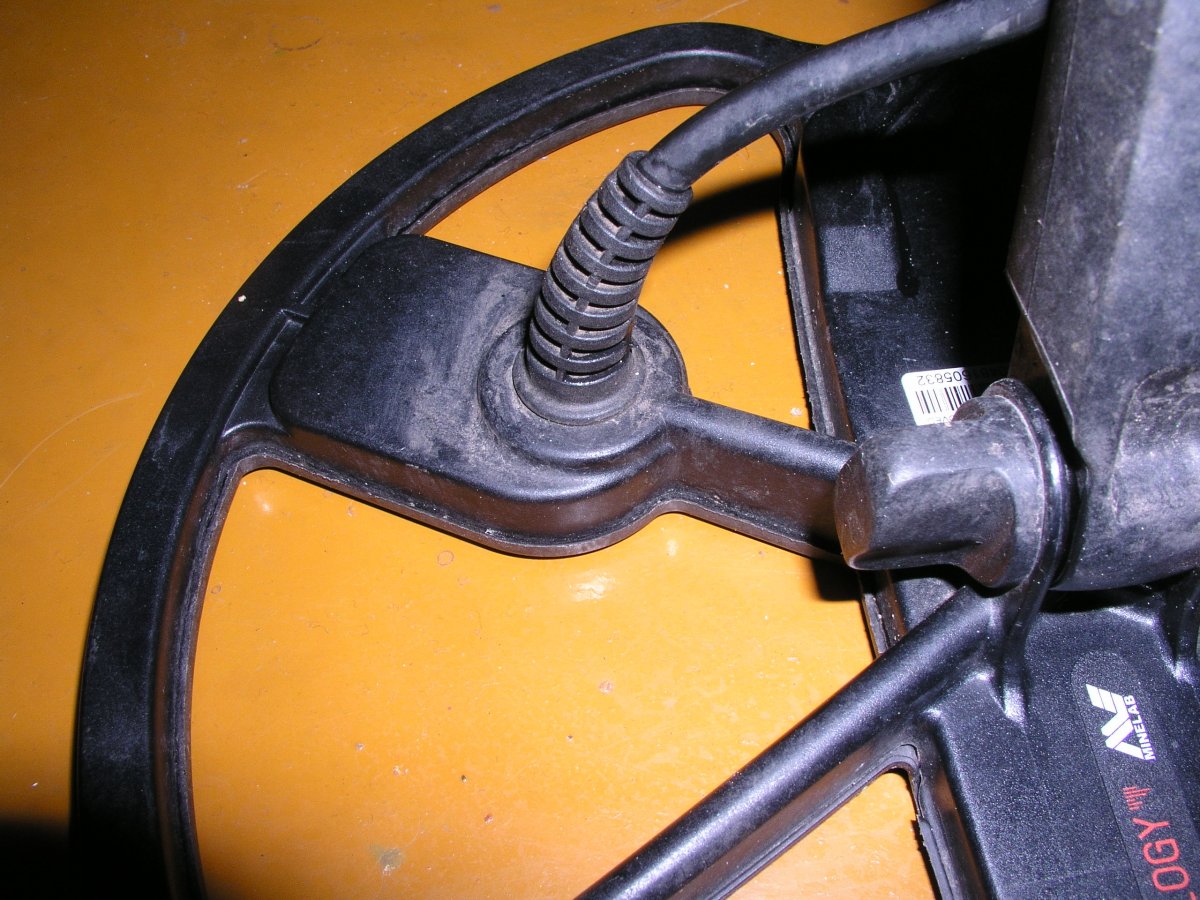P1010017.JPG