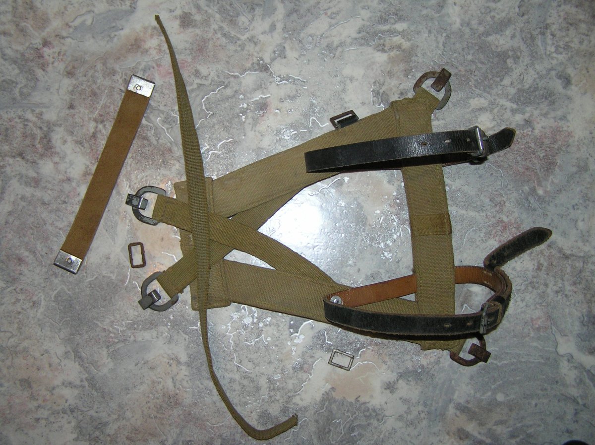 P1010026.JPG