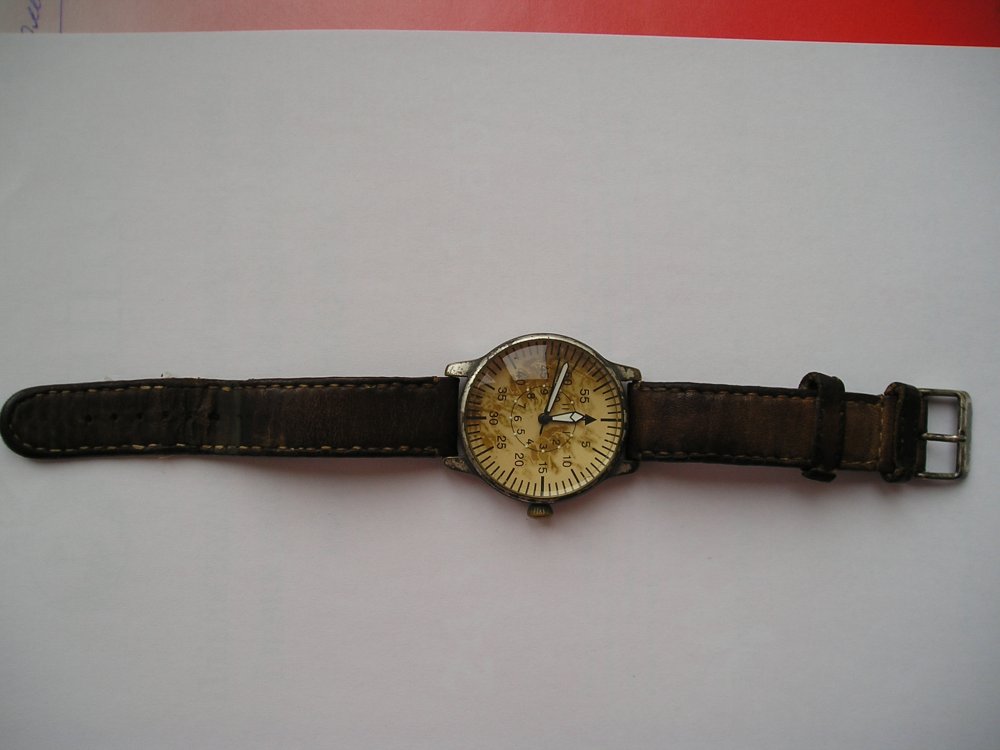 P1010032.JPG