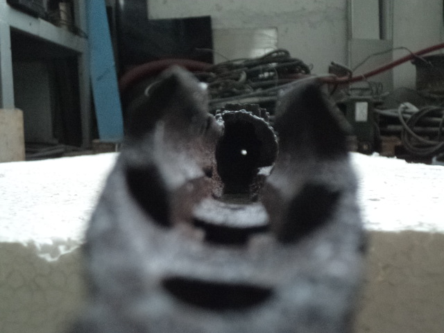 P1010042.JPG