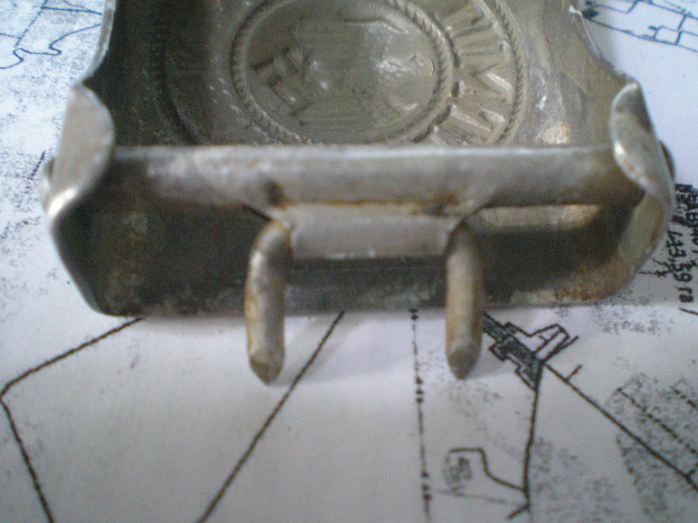 P1010048.JPG