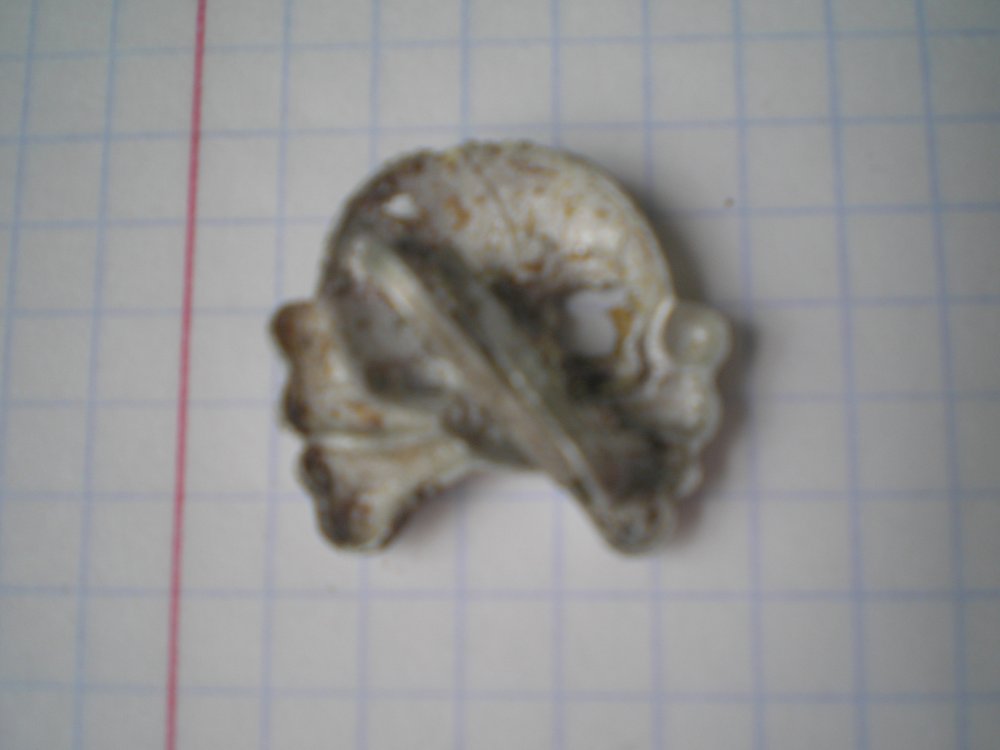 P1010074.JPG