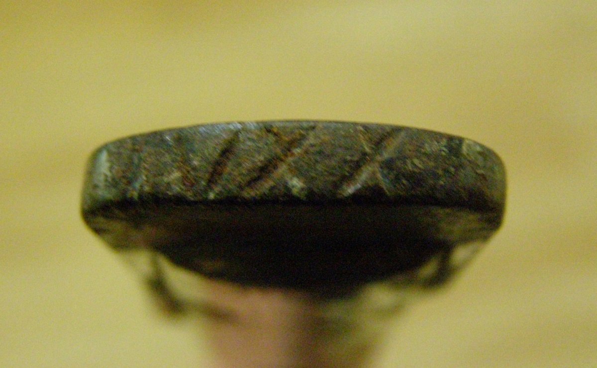 P1010222.JPG