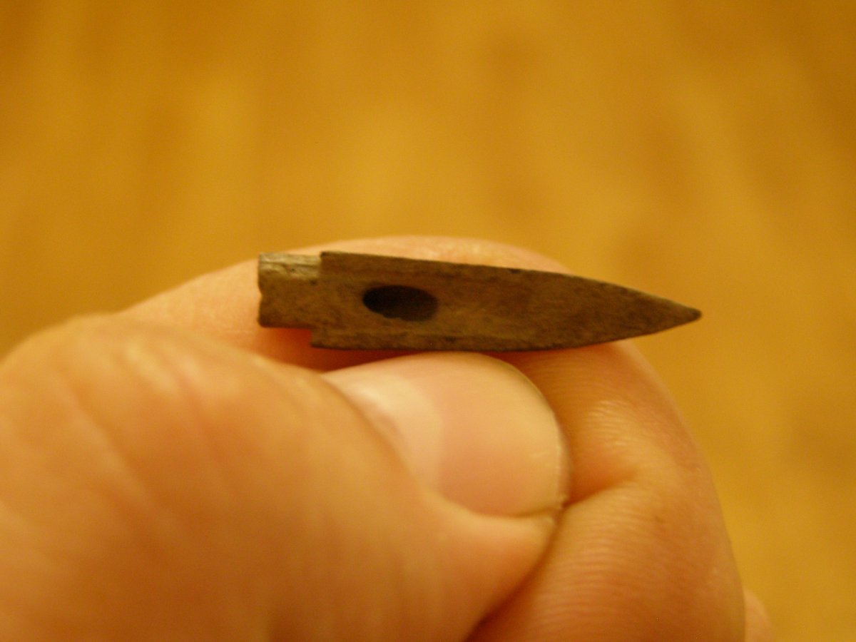 P1010421.JPG