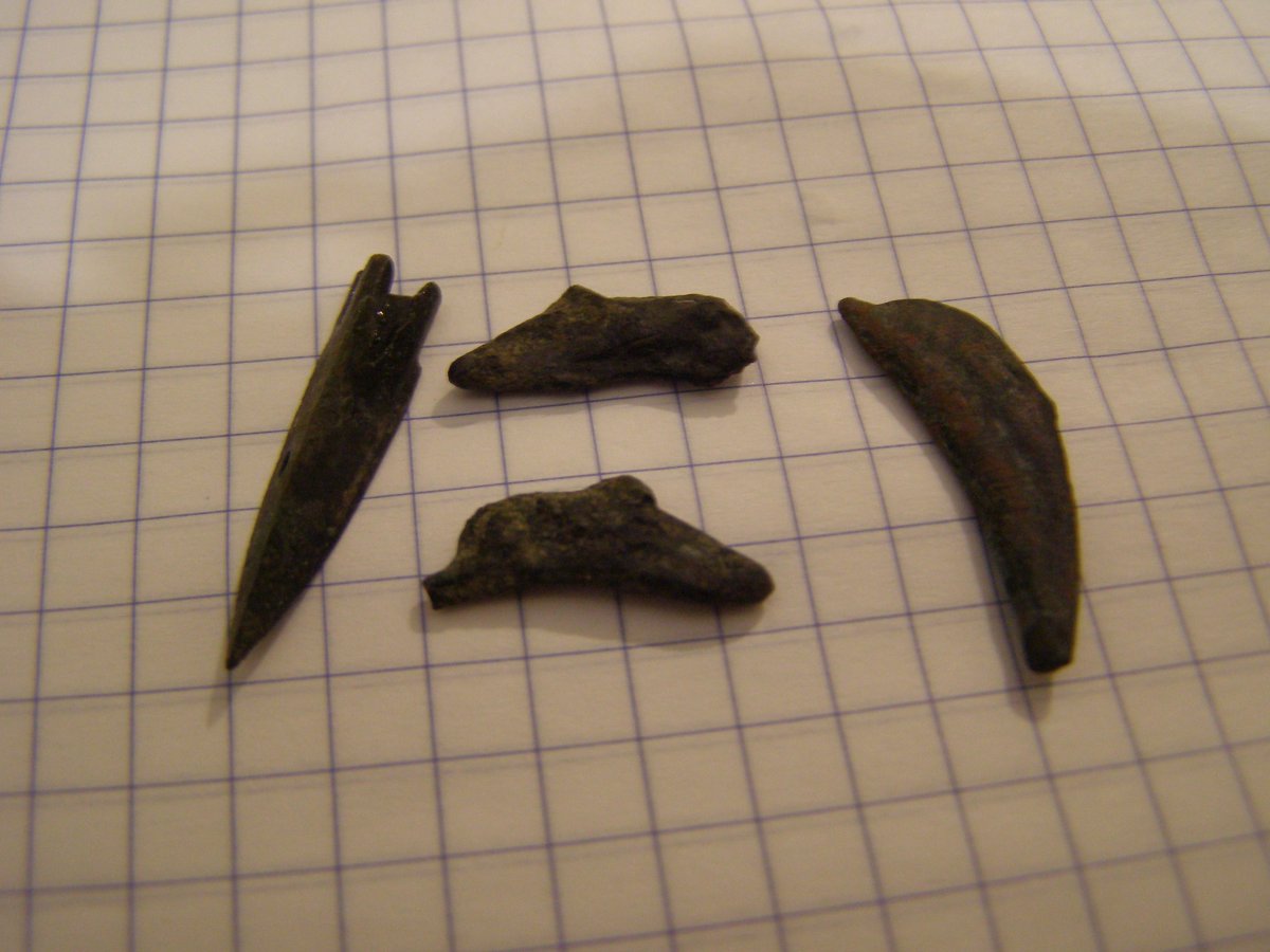 P1010454.JPG