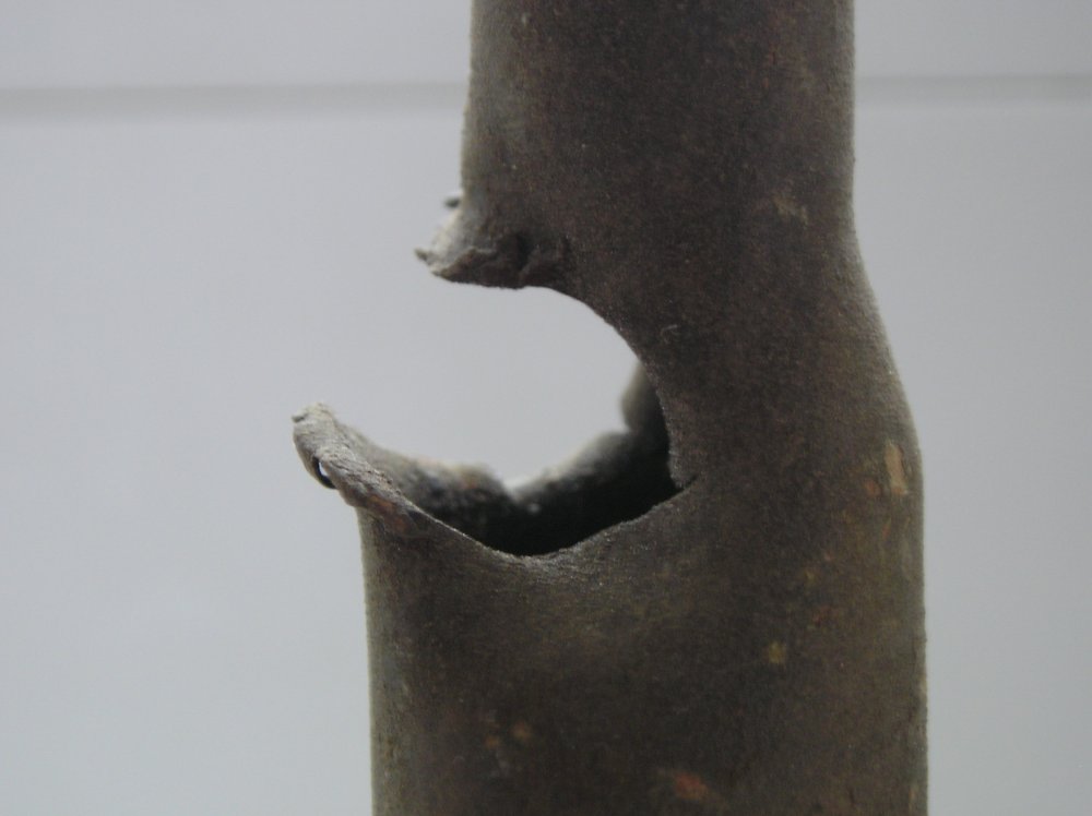 P1010568.JPG