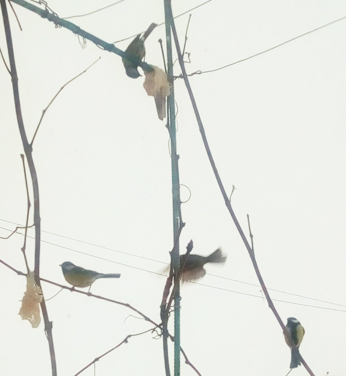P10130-1414.jpg