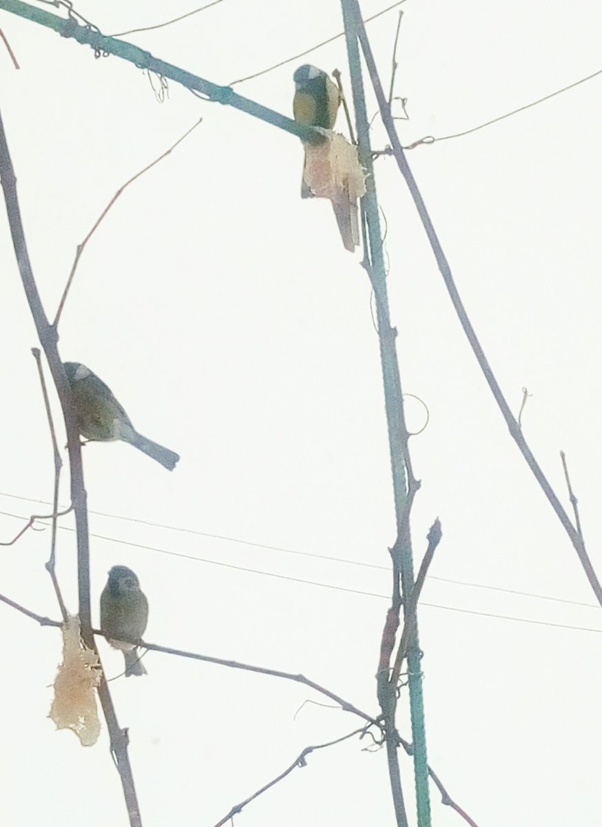 P10130-14144.jpg