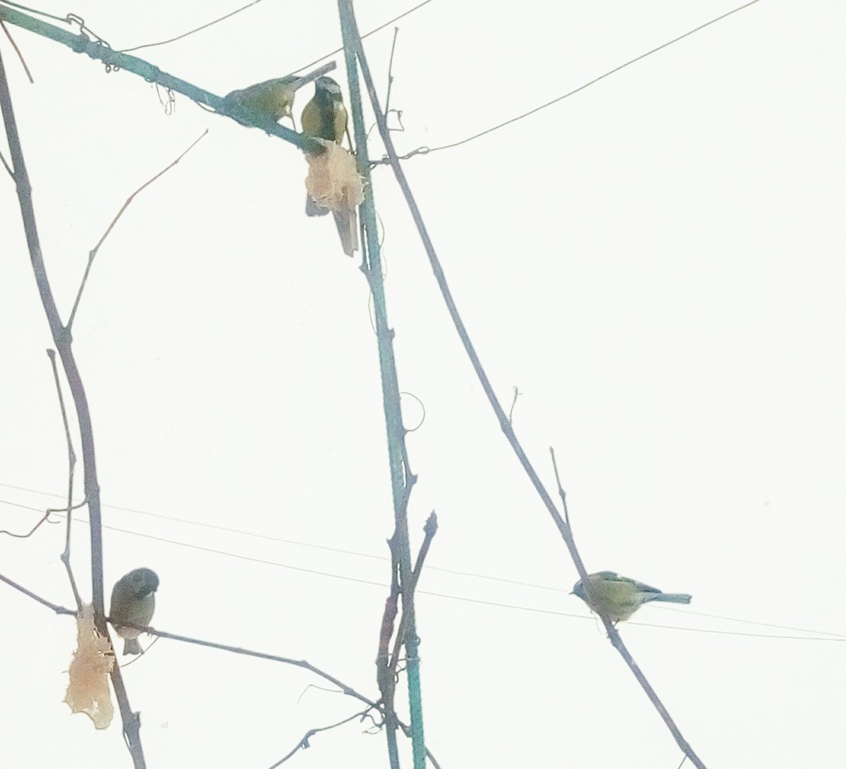 P10130-141444.jpg