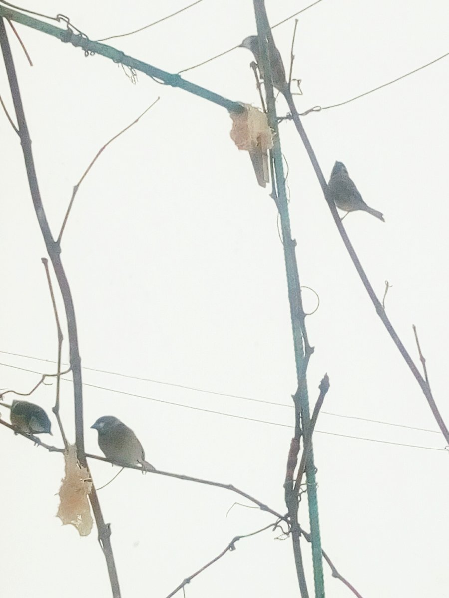 P10130-141500.jpg