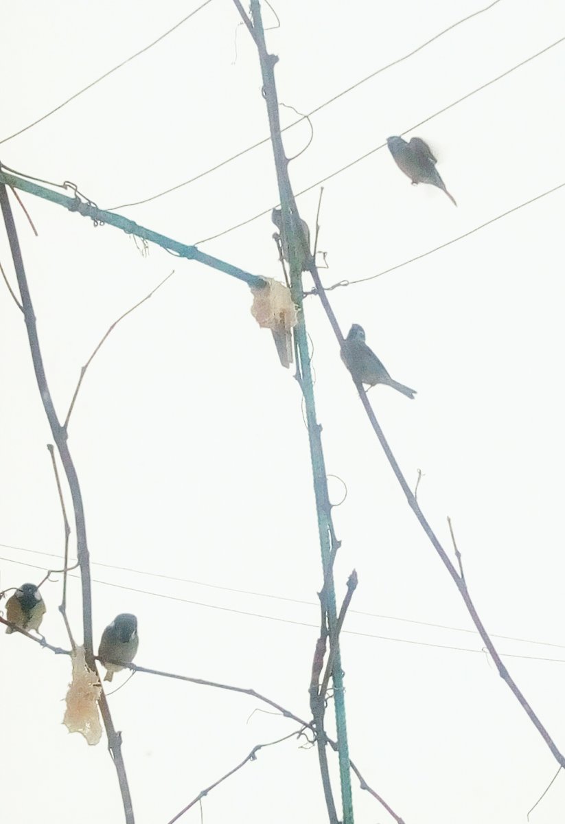 P10130-141501.jpg