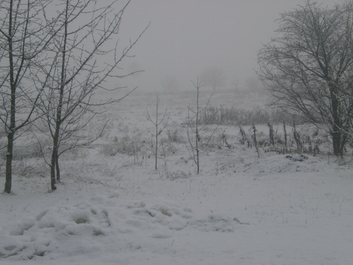 P1020001.JPG