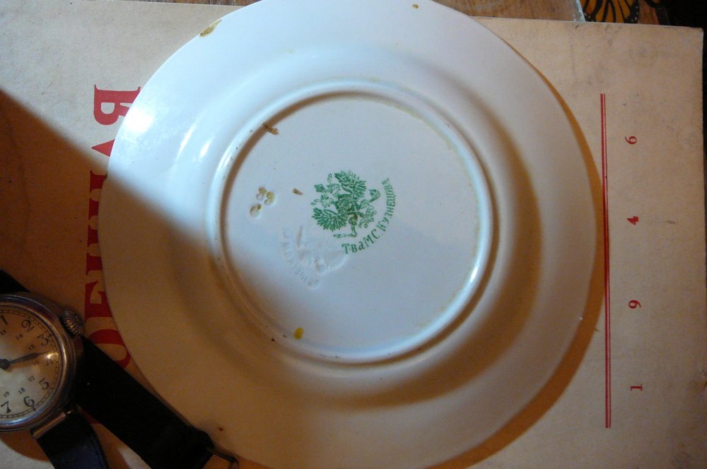 P1020900.JPG