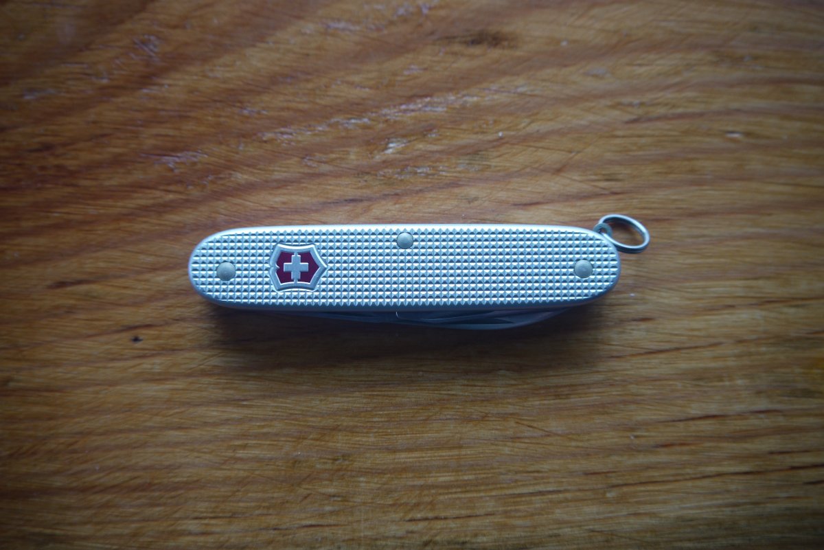 P1030464.JPG