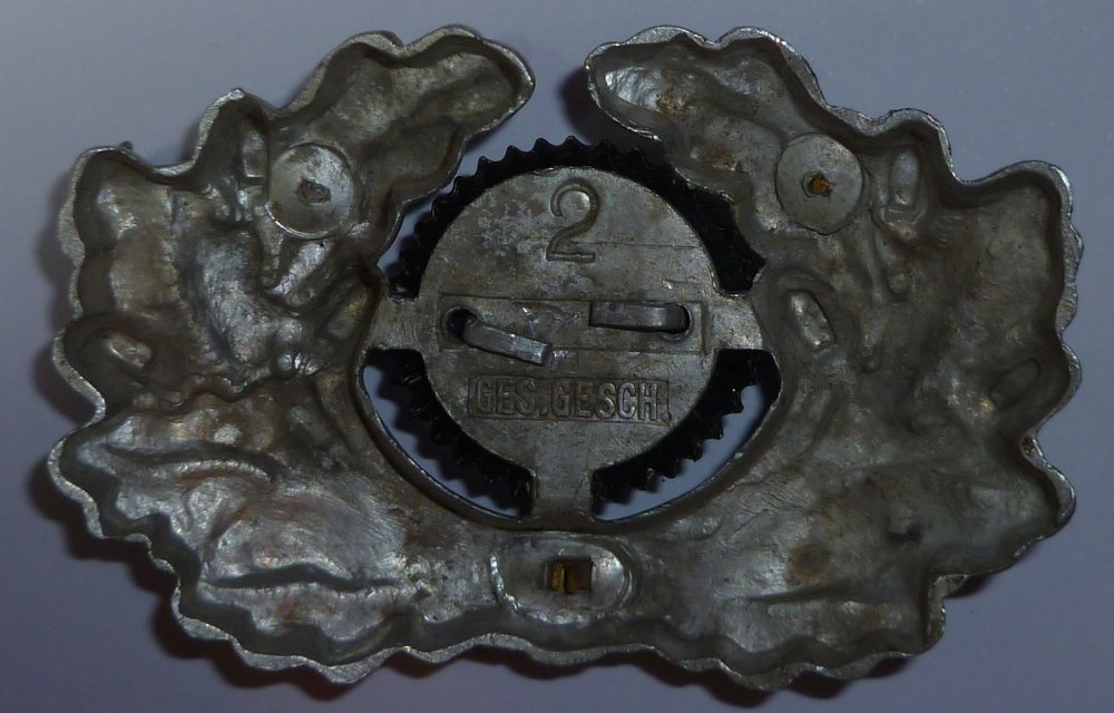 P1050238.JPG