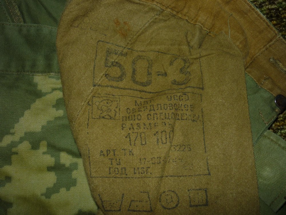 P1060550.JPG